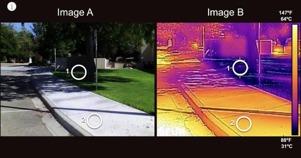 How Does Surface Temperature Vary?