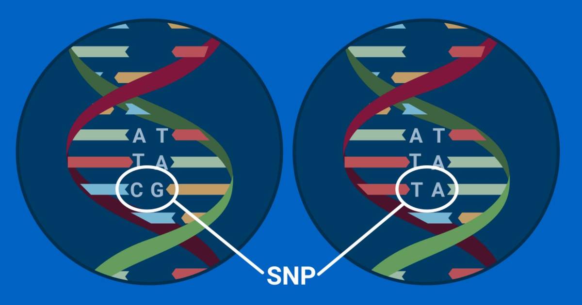 Analyzing Genetic Differences
