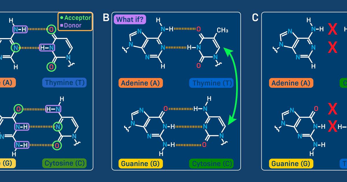 Why A Always Pairs with T, and G Always Pairs with C