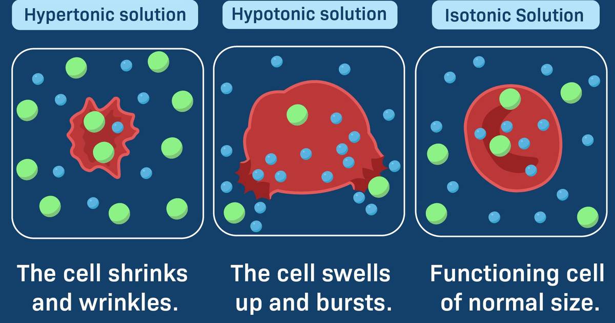 Introduction to Diffusion and Osmosis: Tonicity