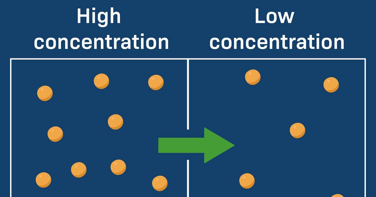 Introduction to Diffusion and Osmosis: Diffusion