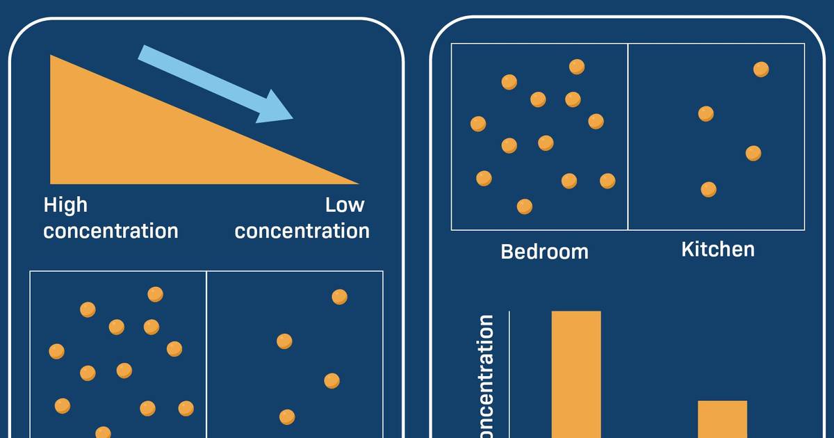 Introduction to Diffusion and Osmosis: Concentration Gradient