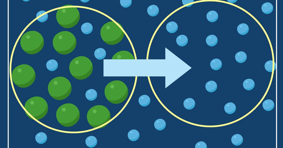 Introduction to Diffusion and Osmosis: Diffusion of Molecules