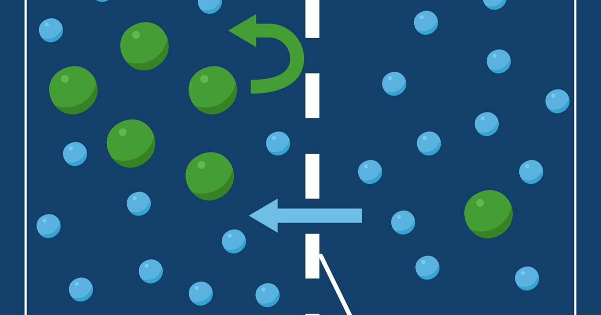Introduction to Diffusion and Osmosis: Selectively Permeable Membrane