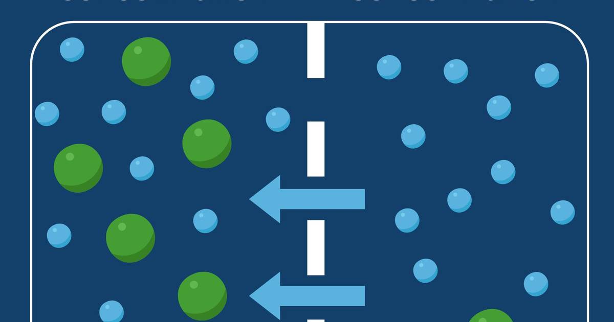 Introduction to Diffusion and Osmosis: Osmosis