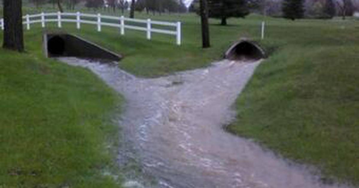 Surface Runoff and the Water Cycle