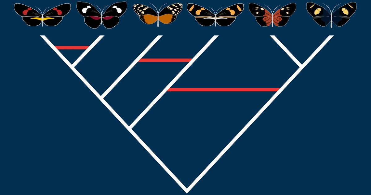 Summary: Frontiers in Evolution