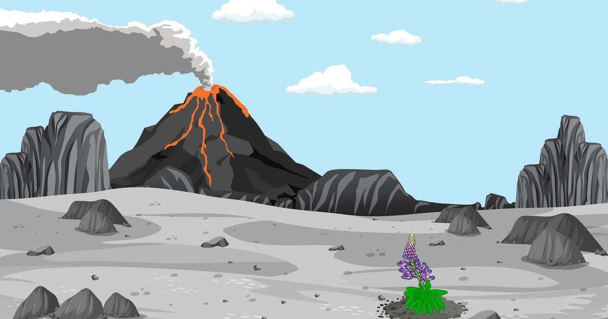 How Nature’s Forces Restructure Ecosystems