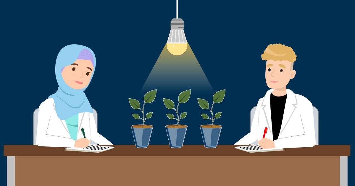 How to Write a Lab Report