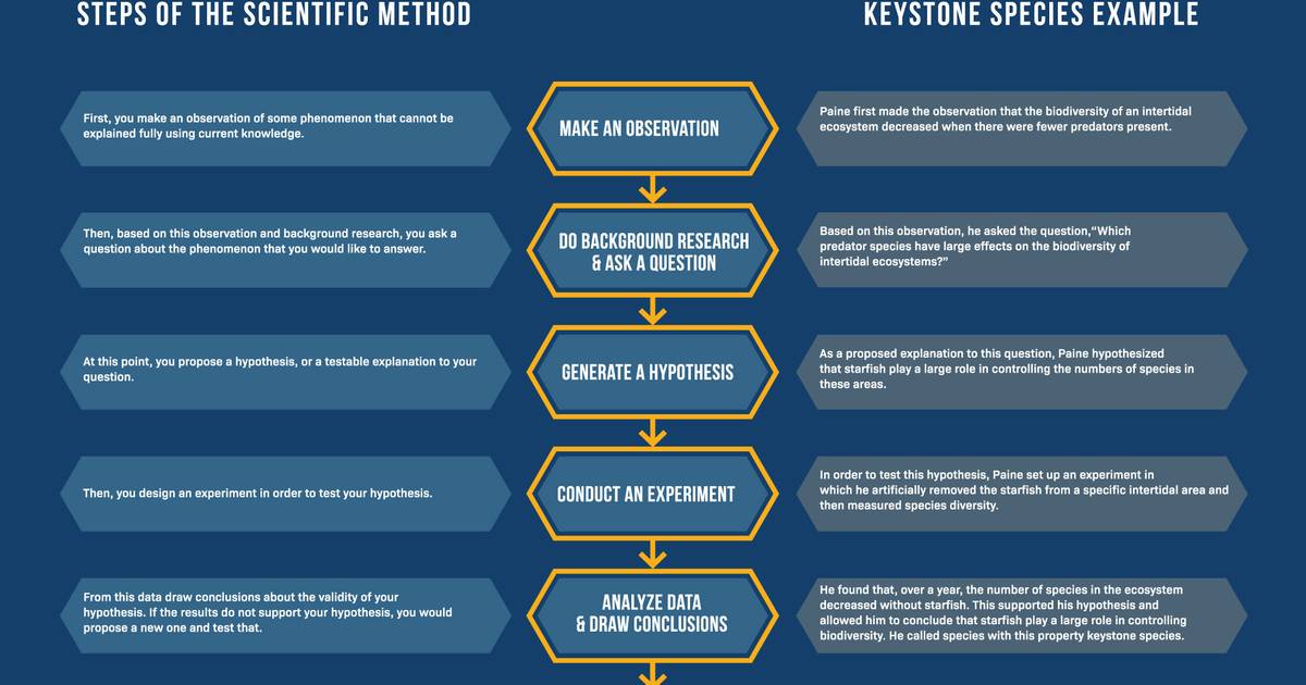 The Scientific Method and Examples