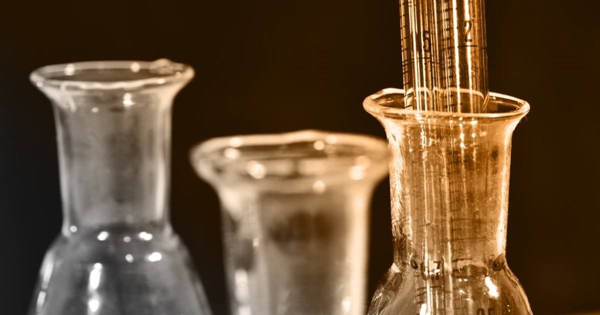 The Discovery of DNA