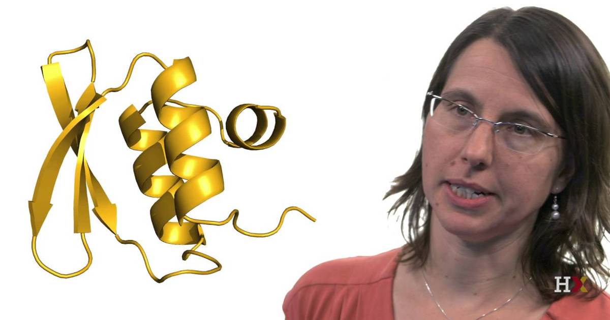 Thermodynamics of Protein Folding