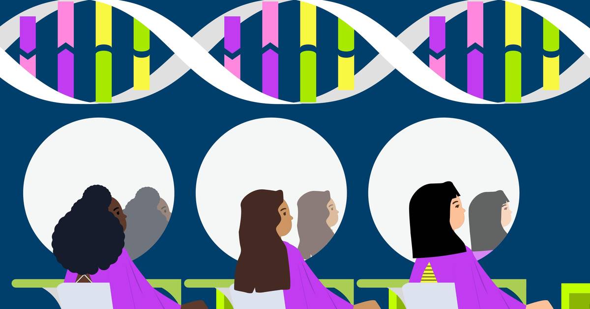 The Evolution of Human Hair