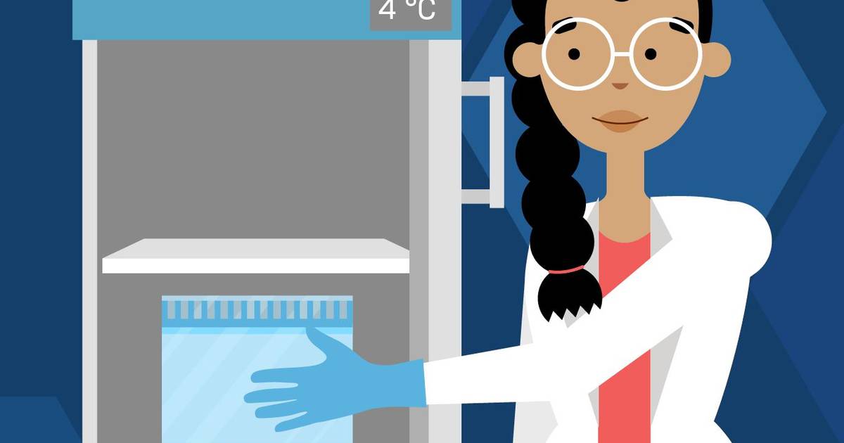 How to Pour a Polyacrylamide Gel