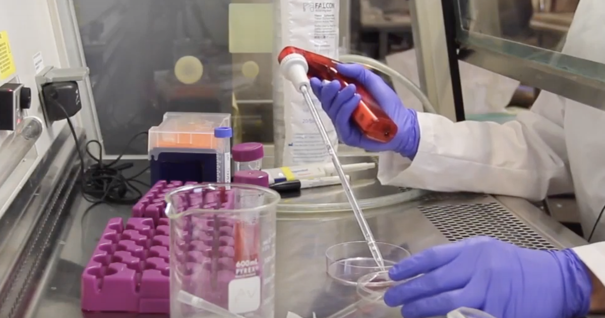 How To: Tissue Culture