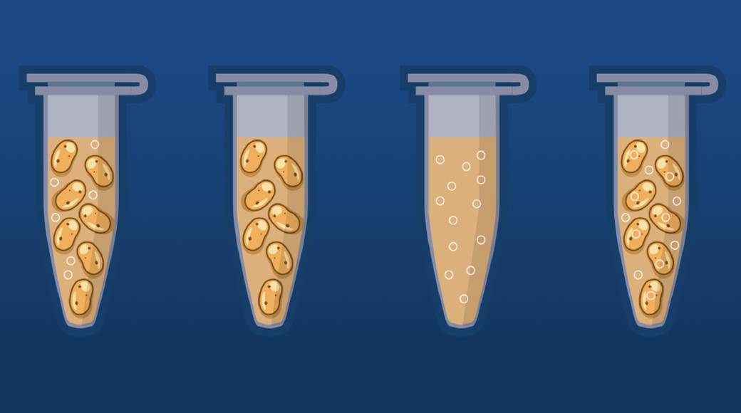 LabXchange
