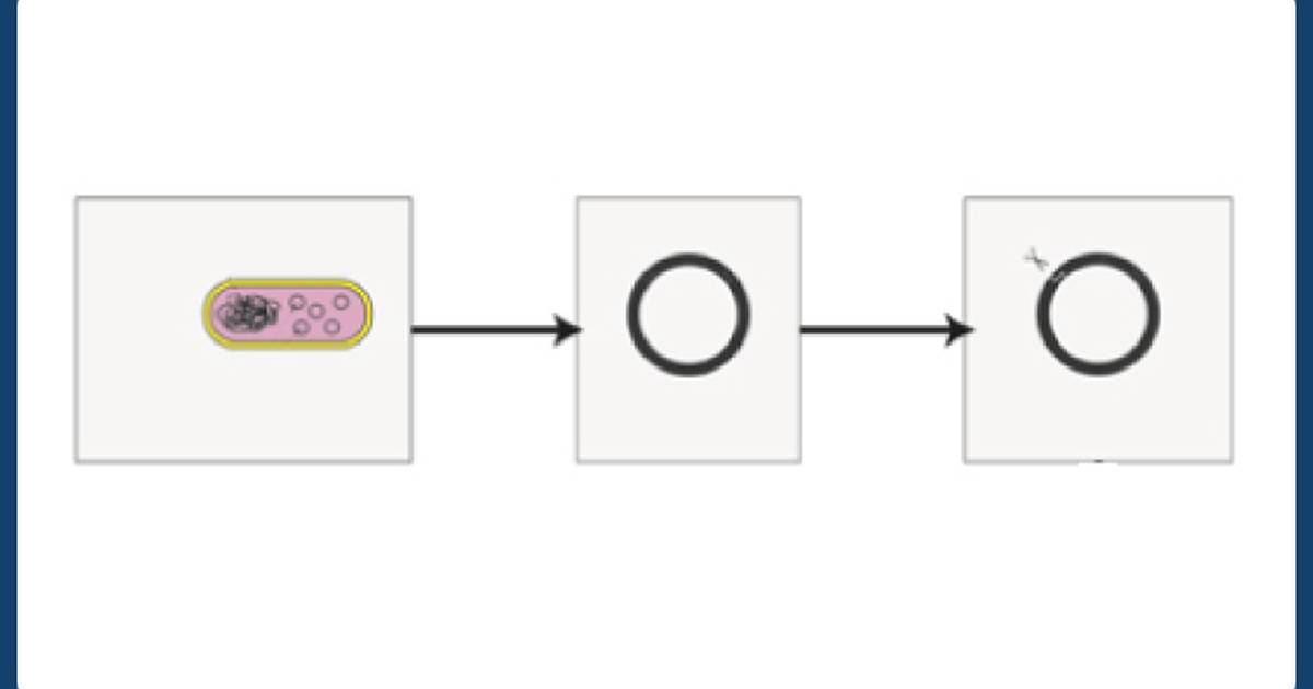 Tratamento de Doenças Com Clonagem Genética