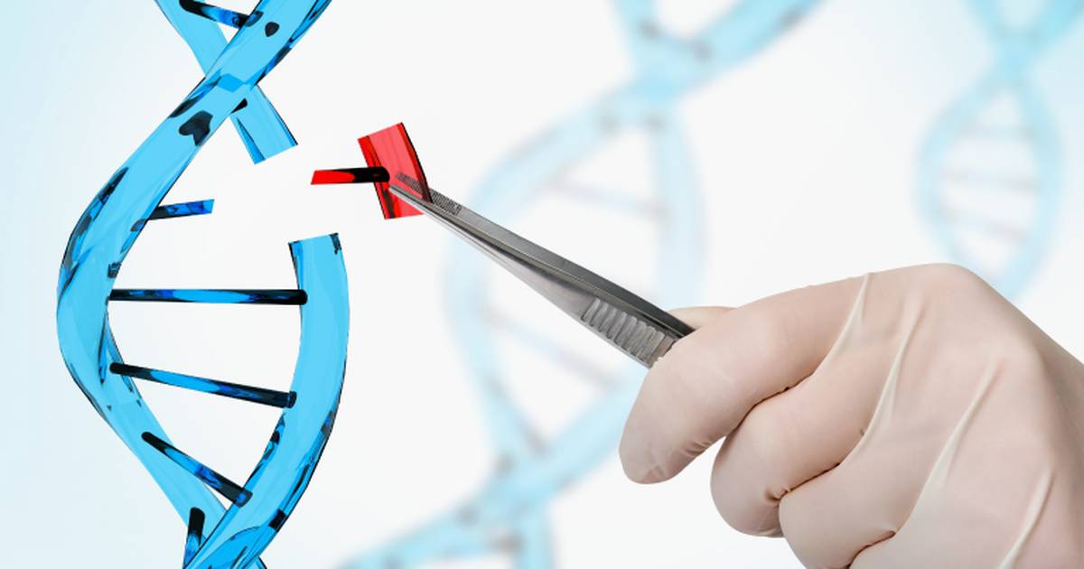 Treating Sickle Cell Anemia With Gene Cloning