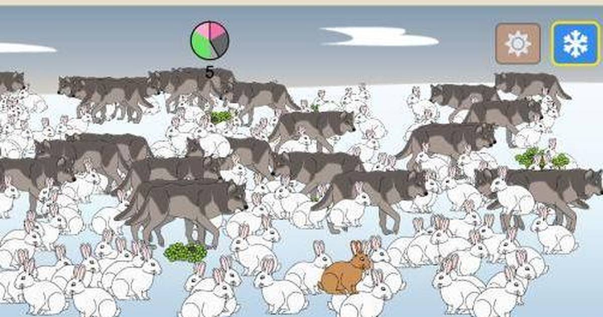 Natural Selection