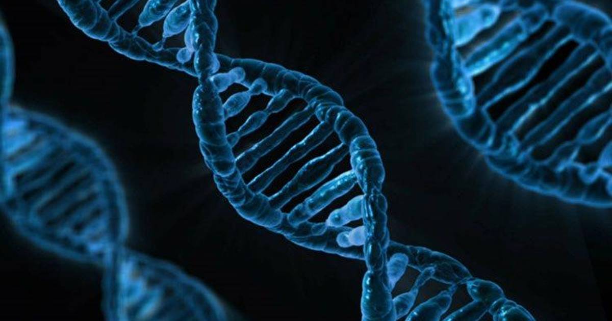 Neurons, Genes, and Gene Expression