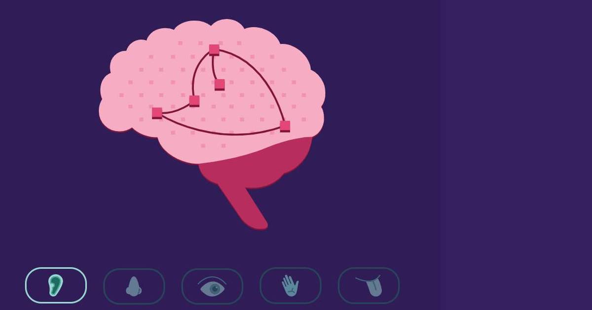 Learn How Neurons Communicate