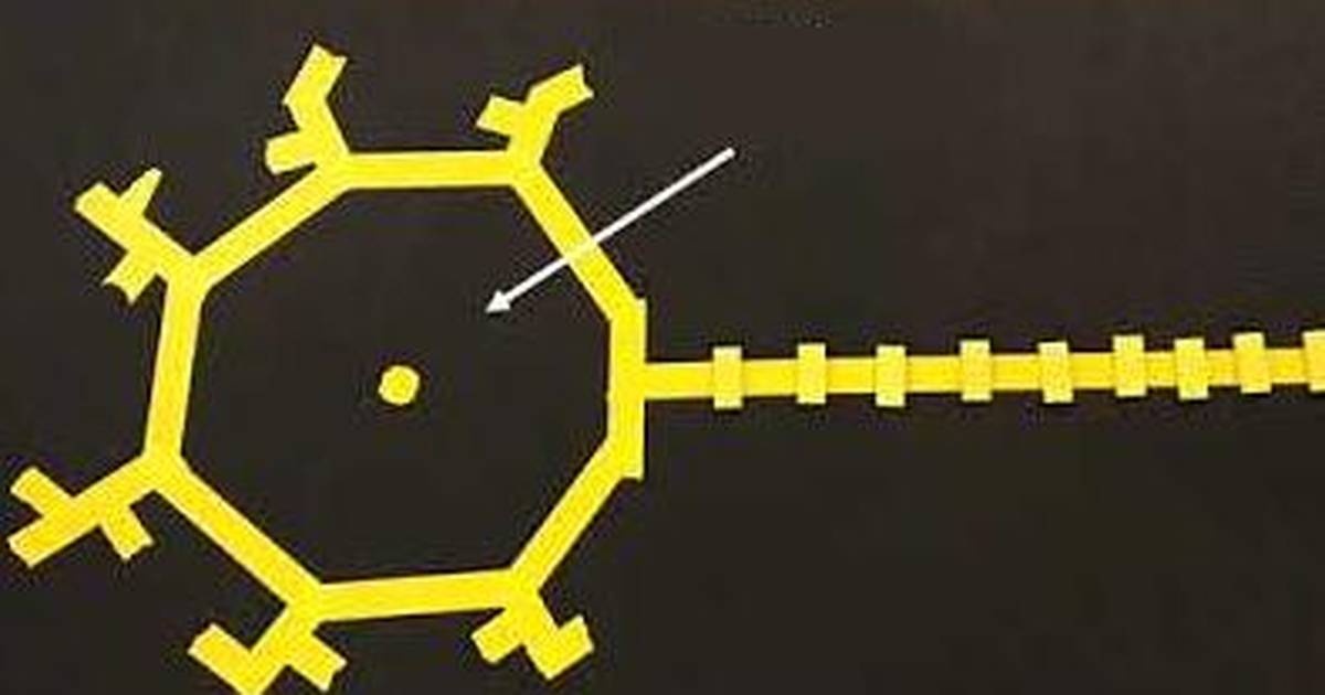The Action Potential - The Brain’s Most Efficient Game of Telephone