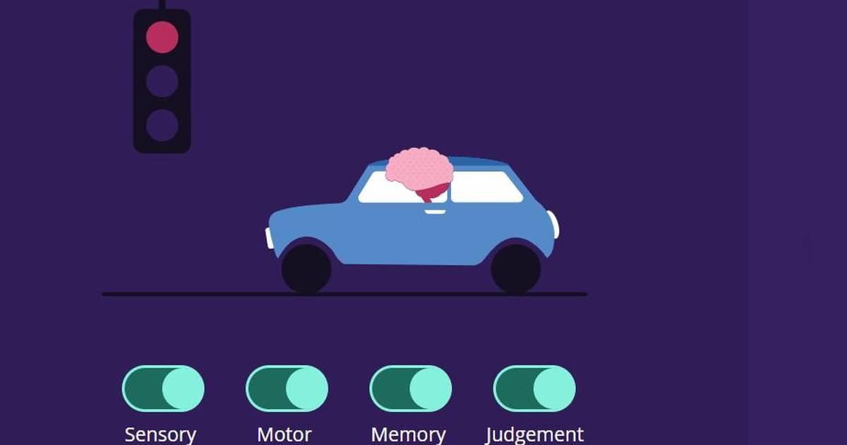 Learn How Your Brain Processes Information
