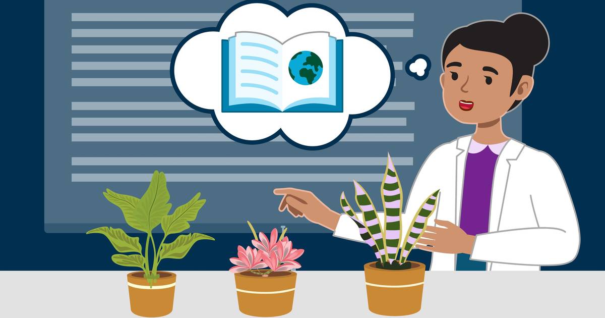 Culturally Relevant Pedagogies