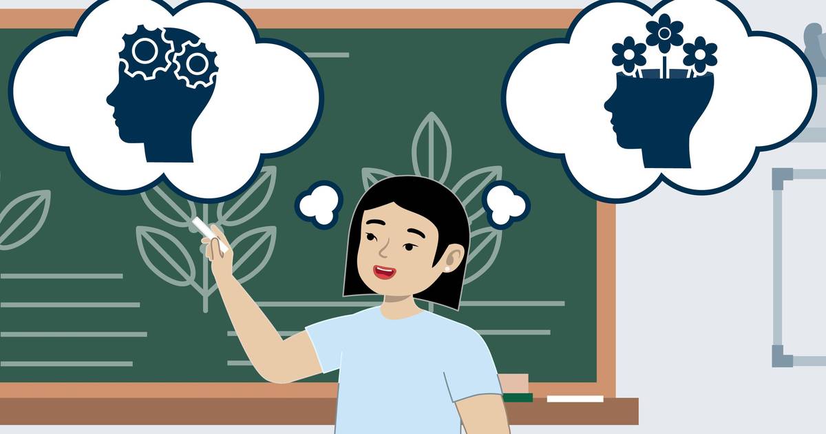 Growth Mindset and Metacognitive Approaches to Teaching