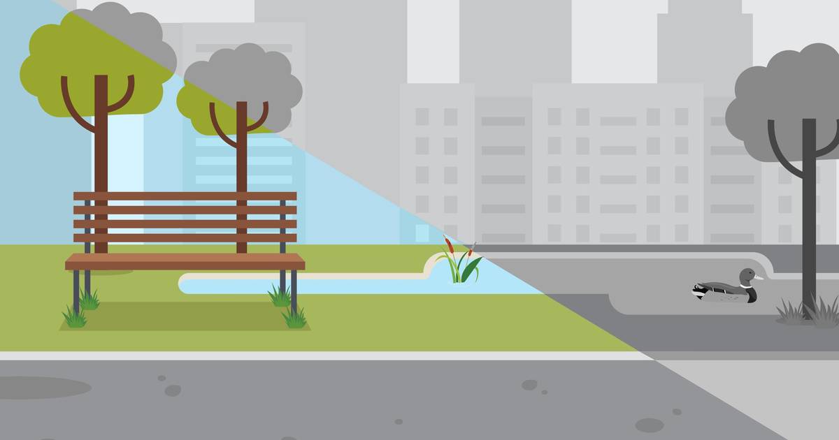 How Racial Violence Limits the Benefits of Outdoor Spaces