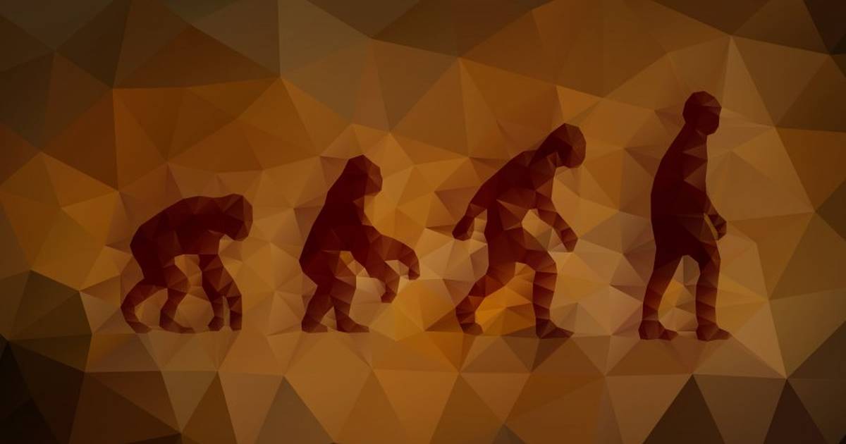 What Is Evolution?