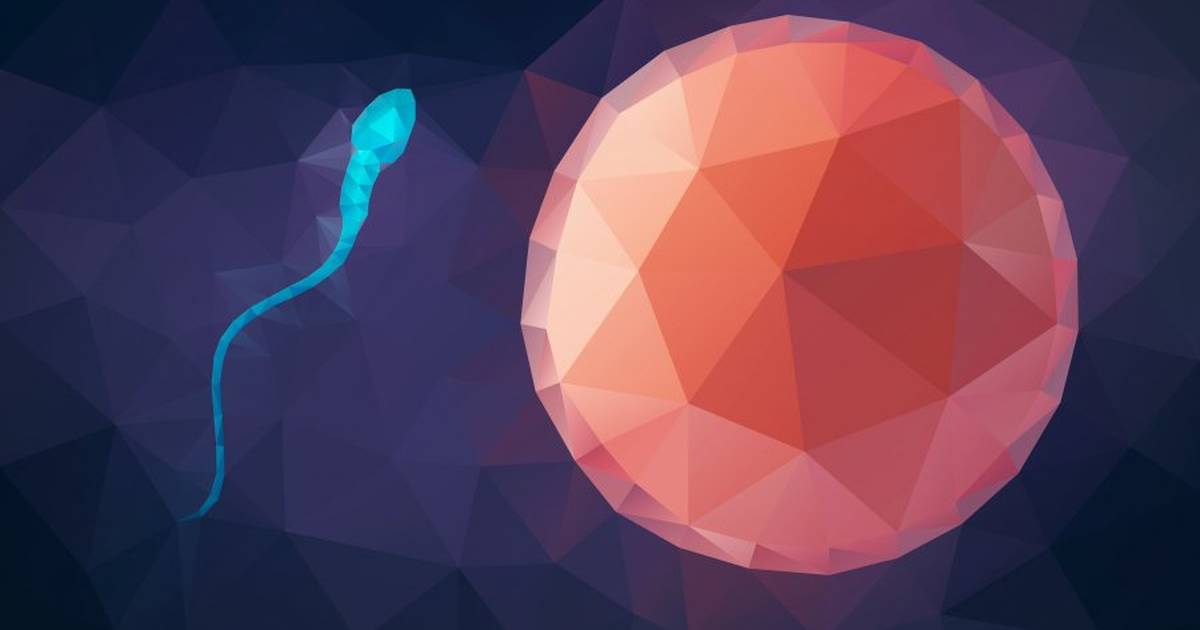 What Is Meiosis?