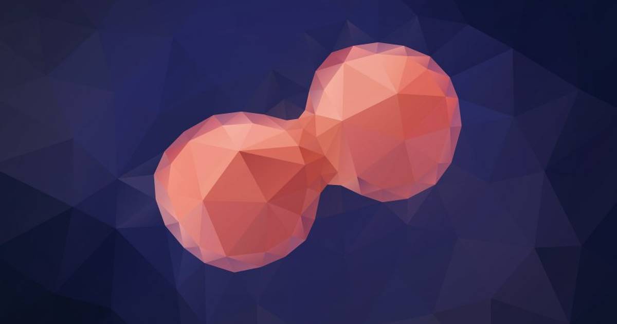 What Is Mitosis?