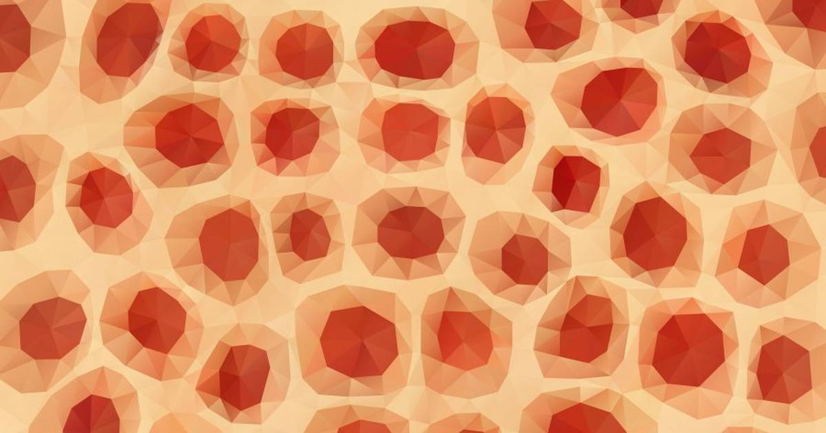 What Is a Cell?
