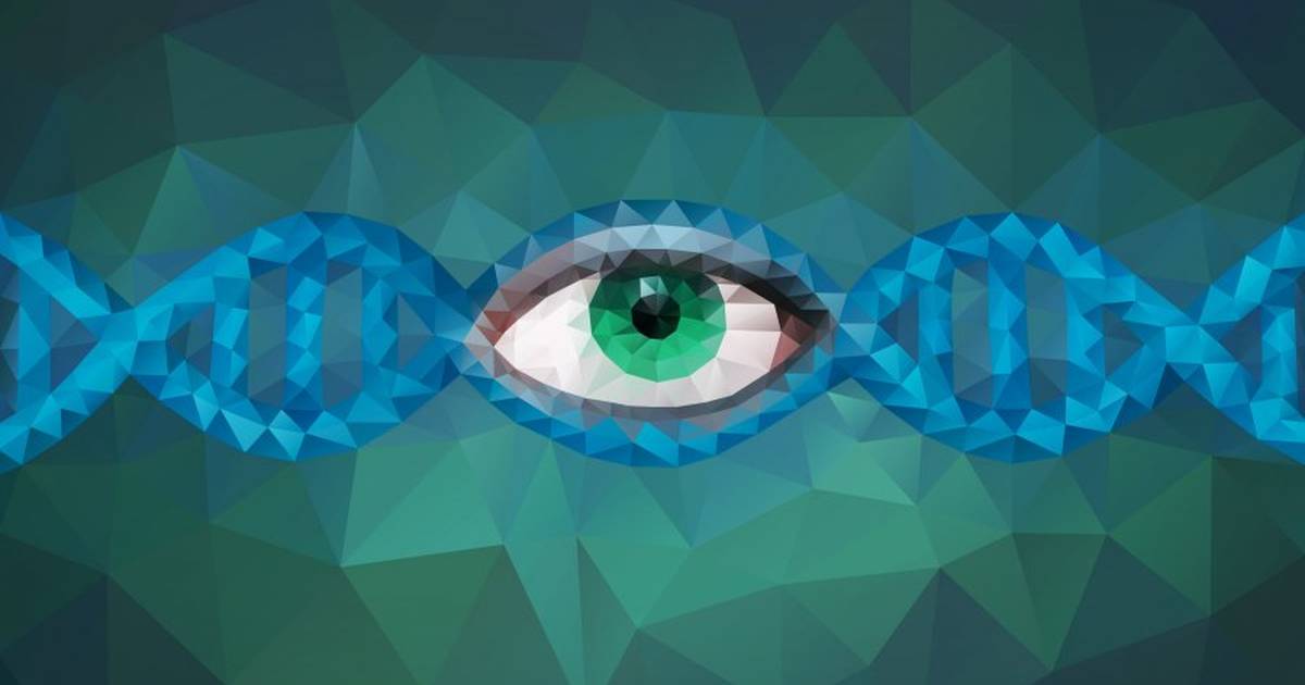 What Is a Gene?