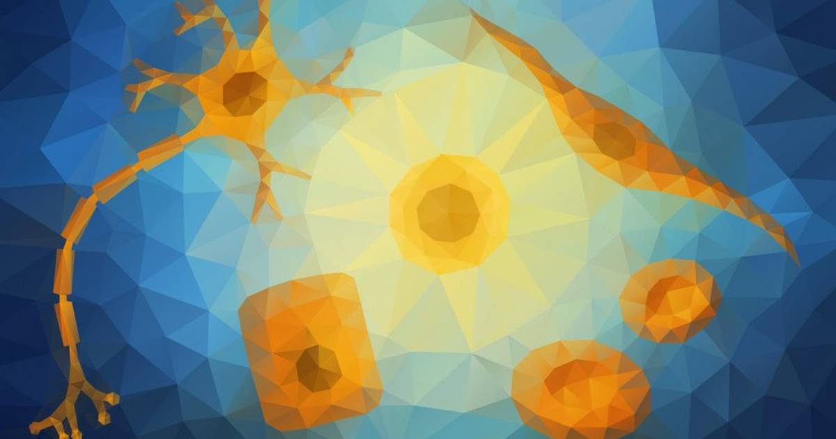 What Is a Stem Cell?