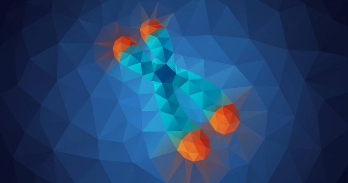 What Is a Telomere?