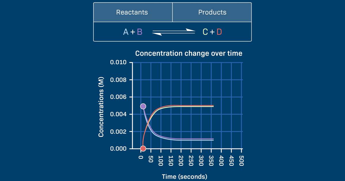 What Does Chemical Equilibrium Look like?