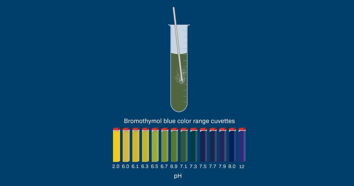 Blowing Bubbles into Bromothymol Blue