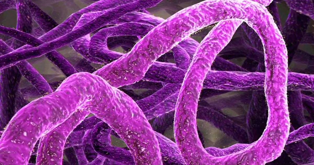 Zoom in on Your Genome