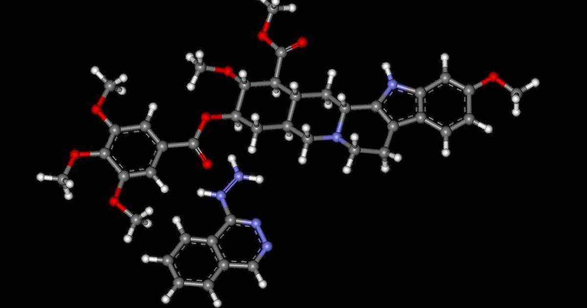 Biochemistry and Metabolism: Macromolecules