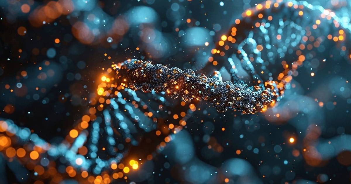 Protein Synthesis: Translation