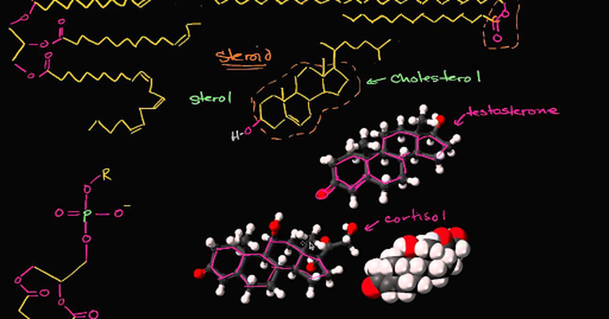 Lipid Overview