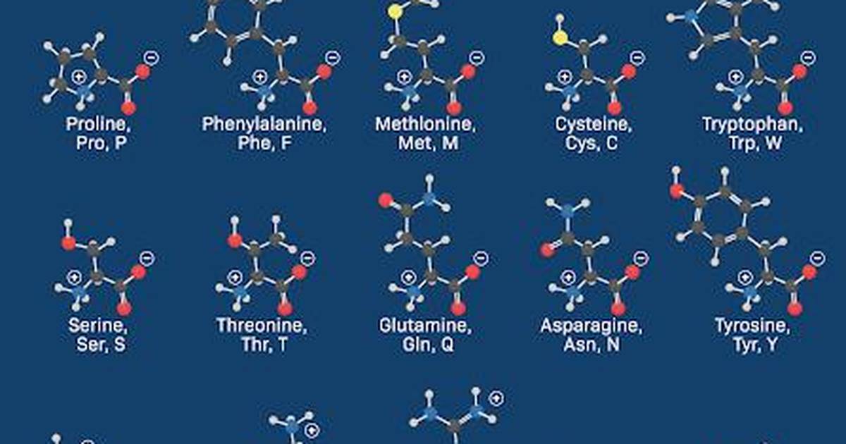 Identifying Hydrophobic Amino Acid Side Chains