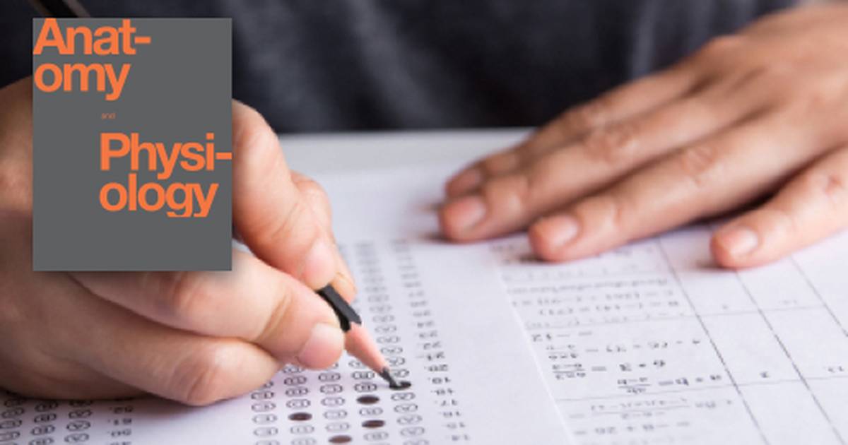 Review Questions