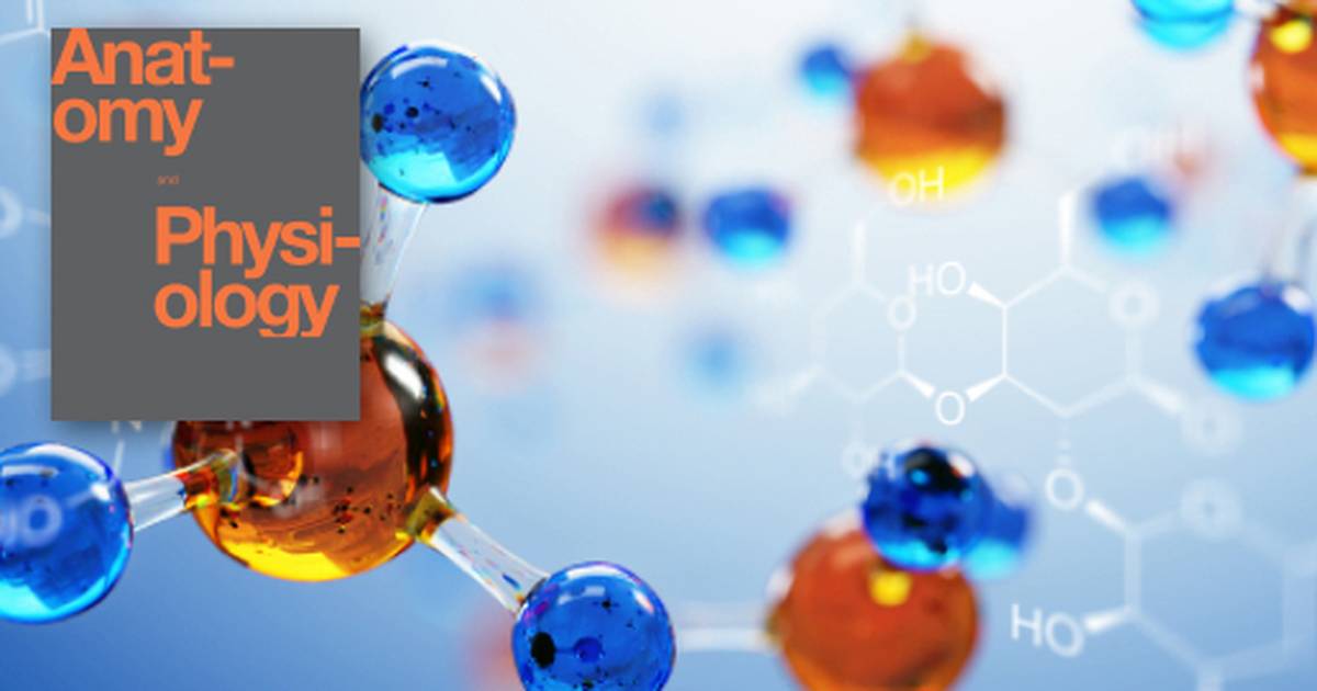 Chapter Review of The Chemical Level of Organization