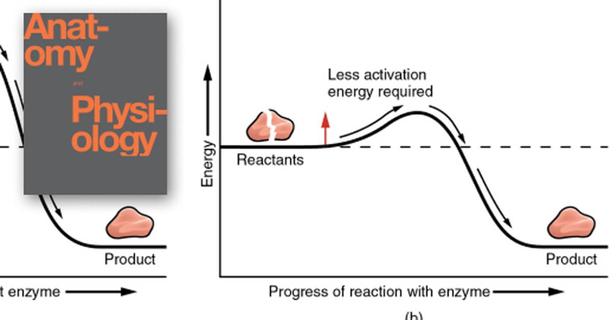 Chemical Reactions