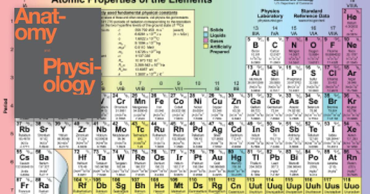 Elements and Atoms: The Building Blocks of Matter