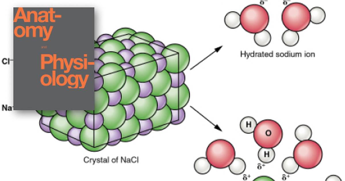 Inorganic Compounds Essential to Human Functioning