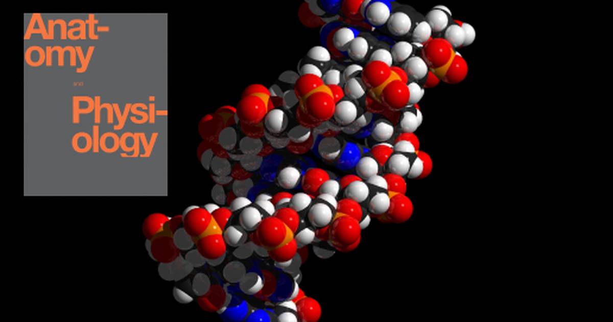 Introduction to The Chemical Level of Organization